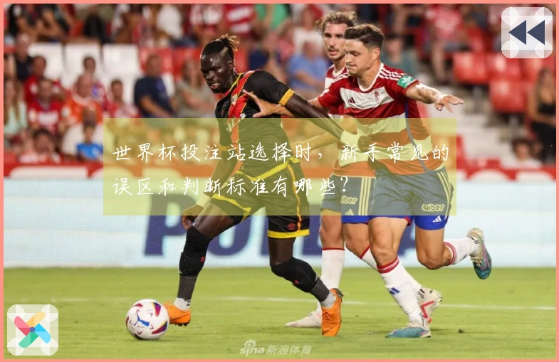 世界杯投注站选择时，新手常见的误区和判断标准有哪些？