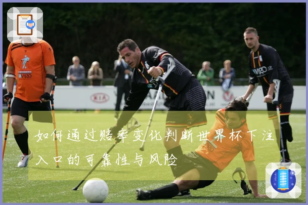 如何通过赔率变化判断世界杯下注入口的可靠性与风险