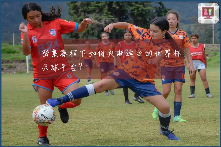 密集赛程下如何判断适合的世界杯买球平台？