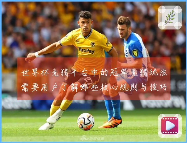 世界杯竞猜平台中的冠军竞猜玩法需要用户了解哪些核心规则与技巧