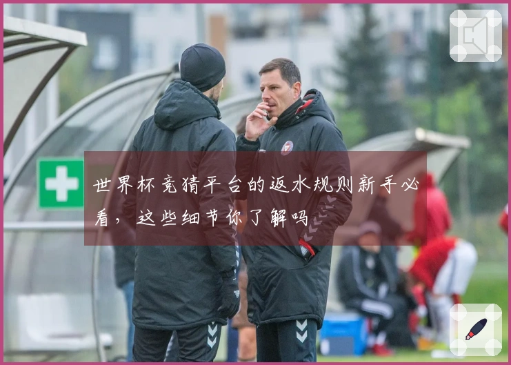世界杯竞猜平台的返水规则新手必看，这些细节你了解吗